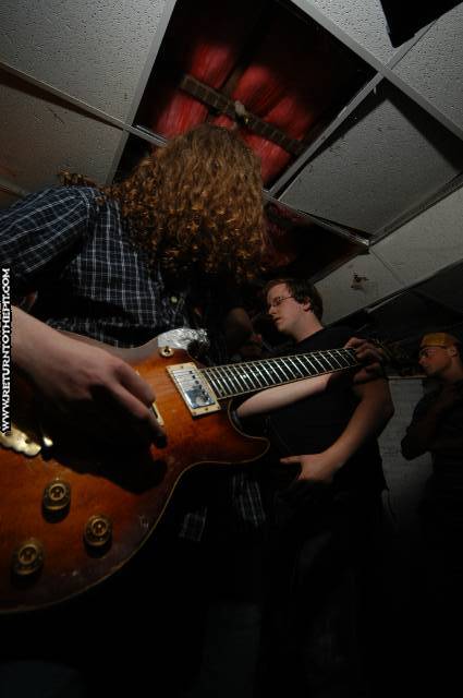 [manx on May 20, 2005 at the Library (Allston, Ma)]
