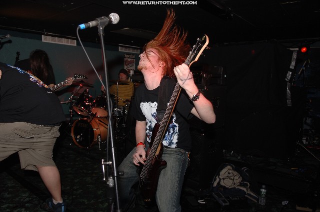[seed on Feb 23, 2006 at Mark's Showplace (Bedford, NH)]