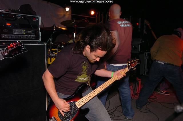 [strength in numbers on Nov 18, 2005 at Cabot st. (Chicopee, Ma)]