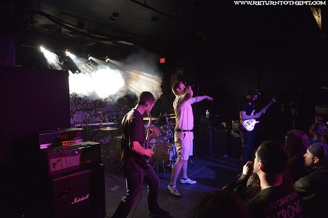 [the last king on Feb 13, 2016 at the Palladium (Worcester, MA)]